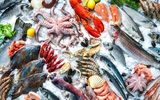 Seafood Freezer Room