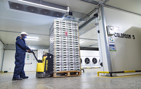 What is a cold room？