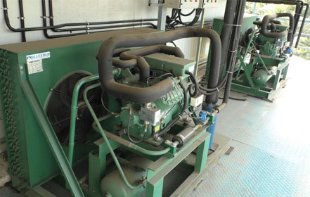 How to Perate Cold Storage Correctly in Hot Weather?