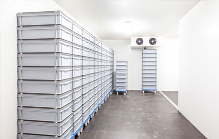 How to do in the first time cooling of cold room?