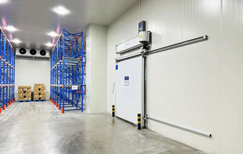 Precautions for Cold Storage of Garlic 