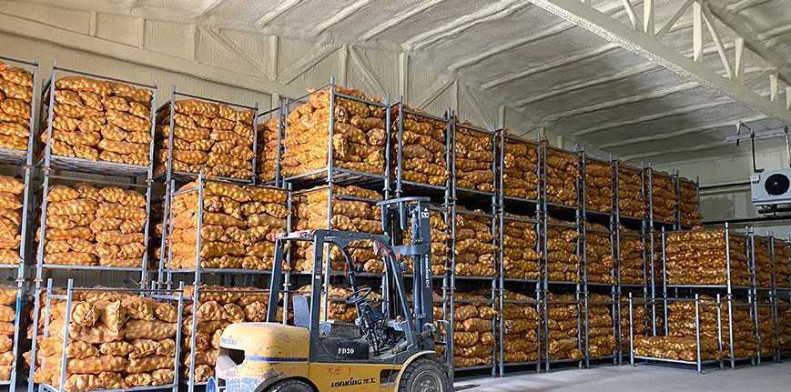 New EU Cold Chain Rule and the Potato Refrigeration Revolution Under Africa's Self-Sufficiency Plan