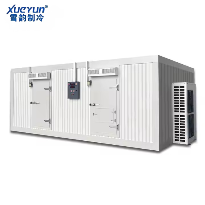 Large-scale Cold Storage Rooms and Freezer Rooms