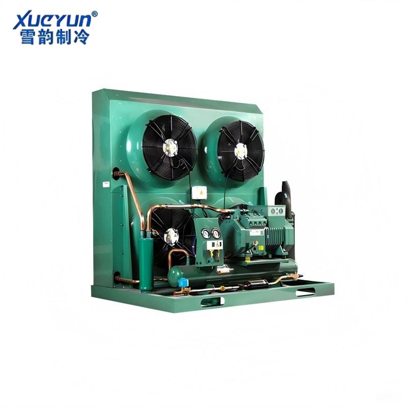 Bitzer Compressor Condensing Unit for Cold Room